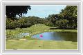  1  Selborne Spa Golf Estate