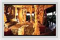  3  Londolozi Private Game Reserve