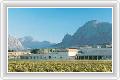  1  Sante Winelands