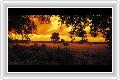  1  Sabi Sabi Selati Camp